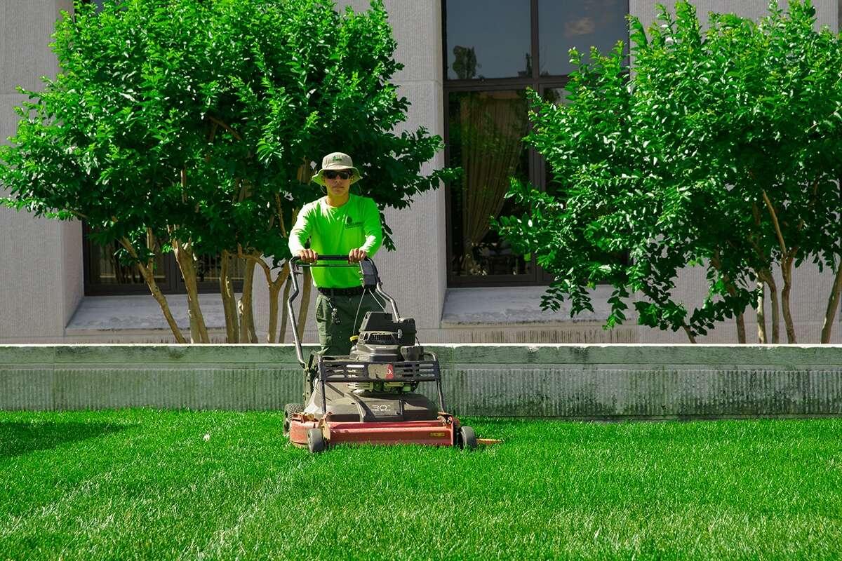 Professional lawn mowing service
