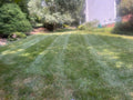Lawn Mowing Service
